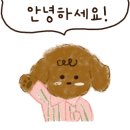 샵퀴니