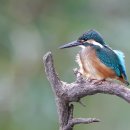 운길산역 이미지