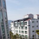 성주부동산공인중개사사무소 이미지