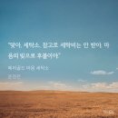 파랑새 세탁소 이미지