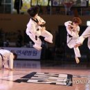 챔피온체육관    (태권도) 이미지