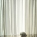 쨍세탁 이미지