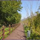 로하스 해피로드 이미지