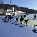 인라인경기장 이미지