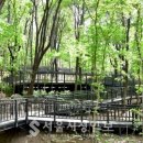 수락산 순환산책로 이미지