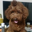 사랑샘의원 이미지