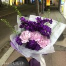 데이즈인블룸