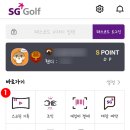 홀인원스크린골프SG 이미지