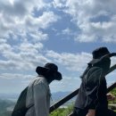 메디위드 이미지