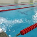 벌키키즈 36.5 수영장 이미지