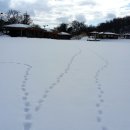 교래자연휴양림야영장 이미지