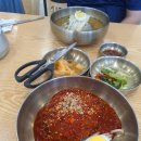서포회식당 | 사천 냉면 맛집 '제일냉면' 비냉, 물냉, 만두 내돈내산 후기