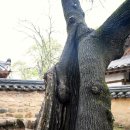 교촌 경로당 이미지