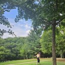 신흥로16번길 | 들쭉날쭉 우당탕탕 롱롱이의 8월 첫째주 일상