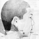 【족양명위경(足陽明胃經)】 〔ST5 대영(大迎)/ 족양명위경-ST4〕 "얼굴과 턱관절 건강에 중요한 명혈(明穴) 이미지