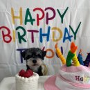 꼬꼬베리덕 이미지