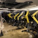 트루그릿 피트니스 이미지