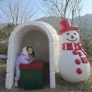 새내역사체험마을 | "2025 동해산타열차 타고 분천 산타마을 겨울여행｜예매꿀팁·체험코스 총정리"