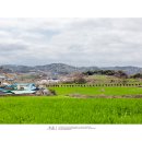 천북4 네이버블로그