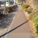 자전거도로 이미지