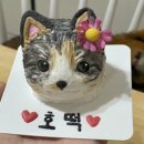 멍프레시 이미지