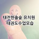 태전한솔숲유치원 | 광주태전동태권도 태전한솔숲 유치원 친구들 태권도수업모습