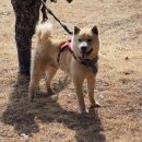 여우골농장 이미지