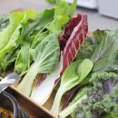 아리랑우렁쌈밥 이미지