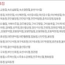 이마트에브리데이속초영랑점