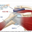 편한마취통증의학과의원 이미지