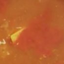 팔팔 문어 낙지 볶음 이미지