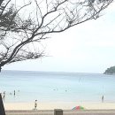 예스메드 이미지