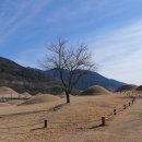 신라 진흥왕 행차길 이미지