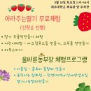 올바른마켓