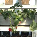 세종호수공원 제1주차장 이미지