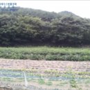 옥산리목장 네이버블로그