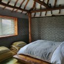 하도하도1929 이미지