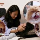 미남민박 이미지