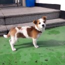 여수남산초등학교 이미지