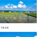 마실21