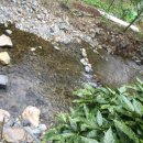 솔내음가득히 이미지