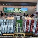 백운산 숲속의 아침 이미지