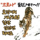 🐯 2022년 호랑이해 임인년(壬寅年) 새해 문안인사와 축복기도 🐯 이미지