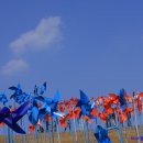 평화만들기 이미지