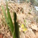 시목마을 이미지