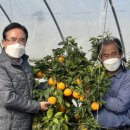 김종기농장 이미지