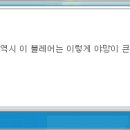 로얄오아시스