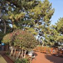 고성정비(종합정비업) | 해파랑길 1코스 완주 후기 (오륙도~광안리~해운대) 🌊👟