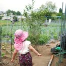 아린농장 이미지