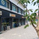 횡계고려의원 네이버블로그
